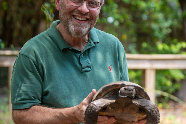 Dr. Todd Heldreth, professor of biology, examines a gopher tortoise, an endangered species in South Carolina. Heldreth serves as the vet for the Animal Forest at Charles Towne Landing, part of the South Carolina State Park system.