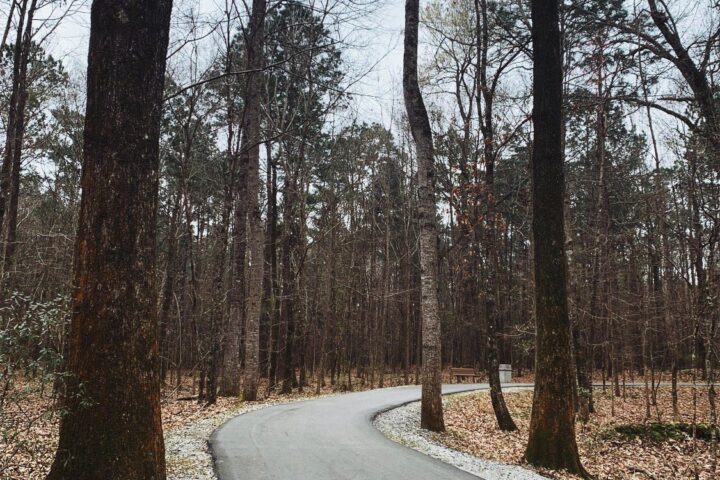 Wannamaker County Park trail