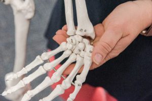 A hand skeleton