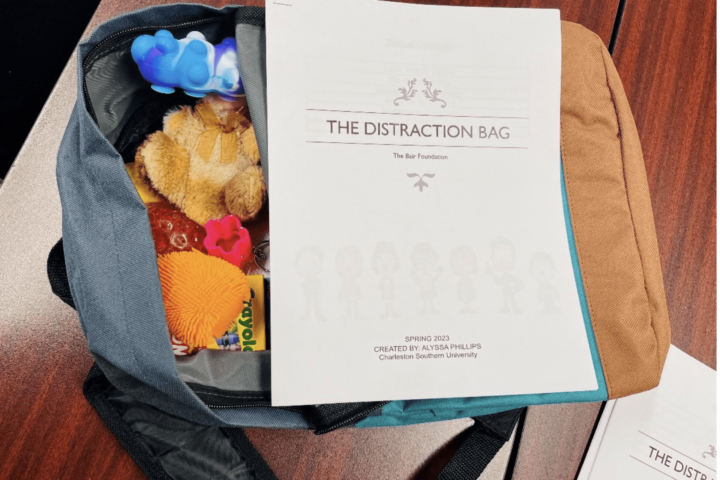 The Distraction bag
