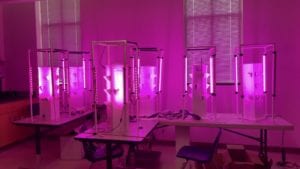 Aeroponics lab at Charleston Southern University